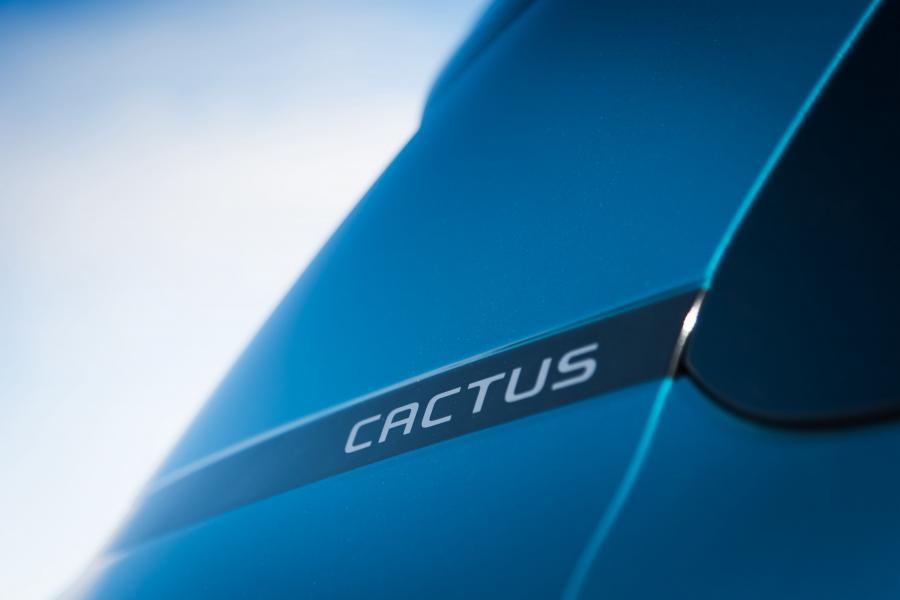 Детали экстерьера Citroen C4 Cactus 2018 года  (WW) (фото 22 из 40)